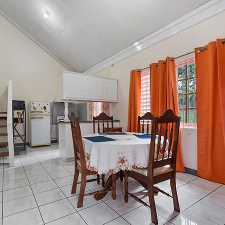 Shaw Park Gem Apt 12D Ocho Rios Exteriér fotografie