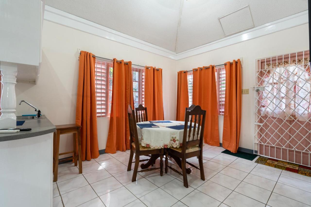 Shaw Park Gem Apt 12D Ocho Rios Exteriér fotografie